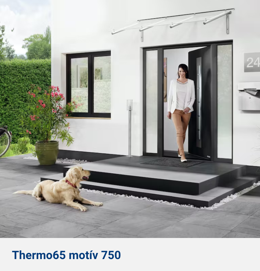 Thermo65